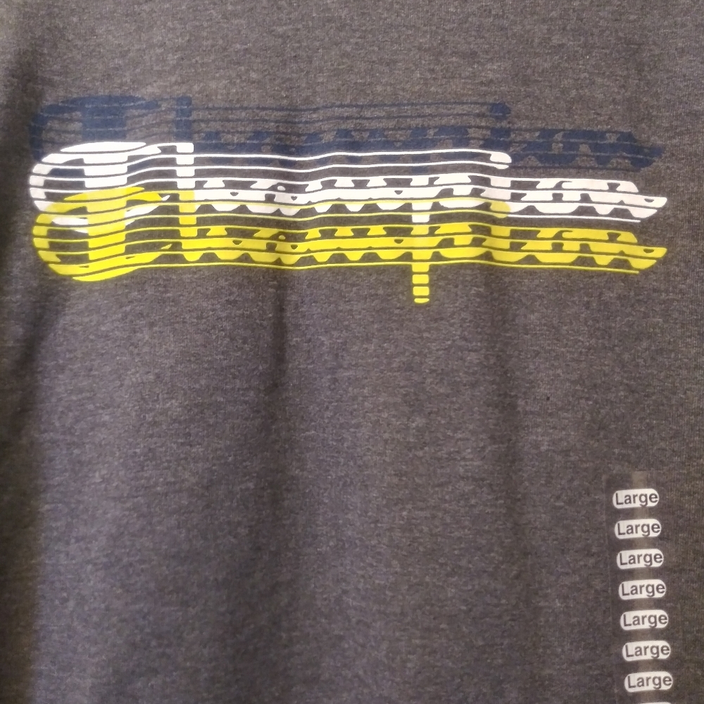 Champion Hoodie (Granite Heat)